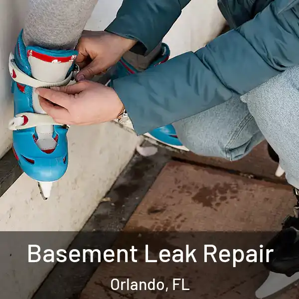  Basement Leak Repair Orlando, FL