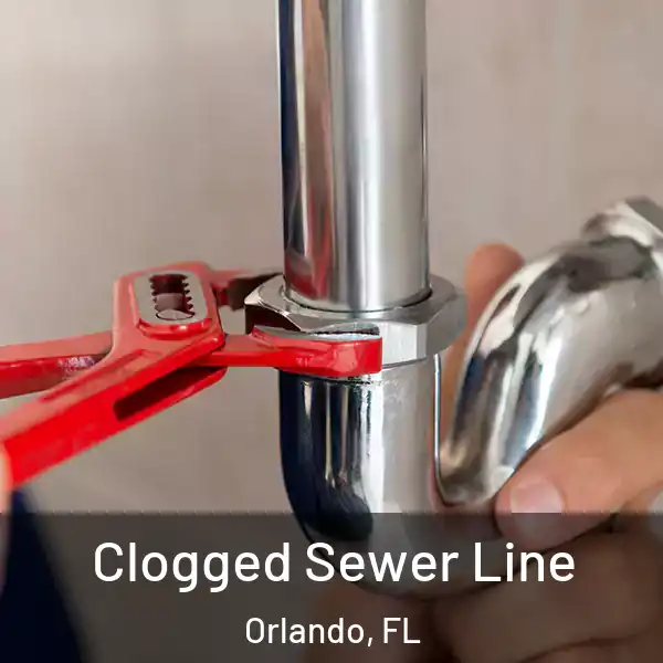  Clogged Sewer Line Orlando, FL