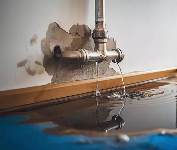 Professional Water Damage Restoration Experts in Orlando, FL — Fast, Reliable & Certified