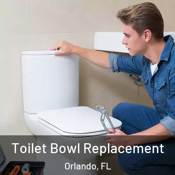  Toilet Bowl Replacement Orlando, FL