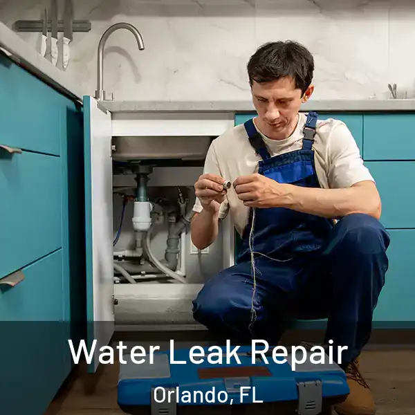 Water Leak Repair Orlando, FL